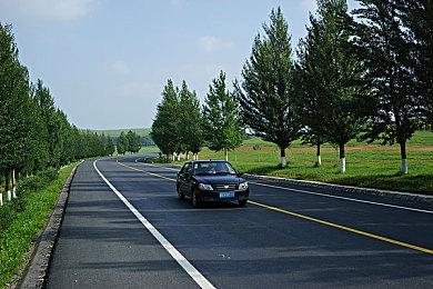 《艾尔登法环》纽约巨幅宣传画绘制视频 葛孚雷霸气